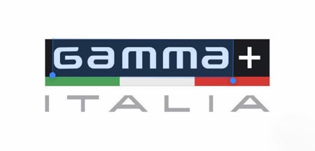 Gamma+ | Stylecraft Logo